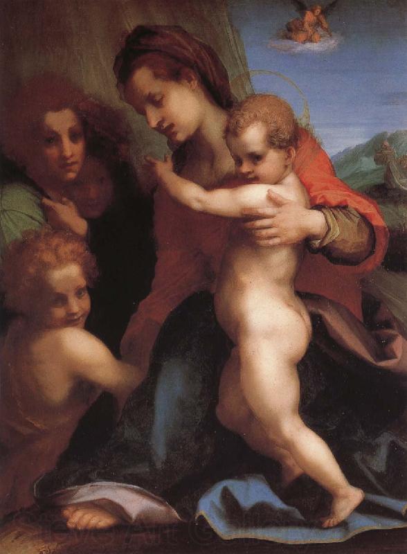 Andrea del Sarto Angel France oil painting art